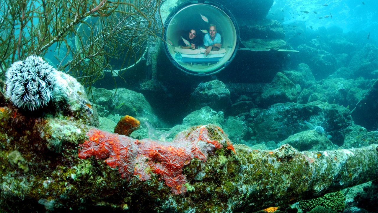 Ocean Lens at Curacao Sea Aquarium